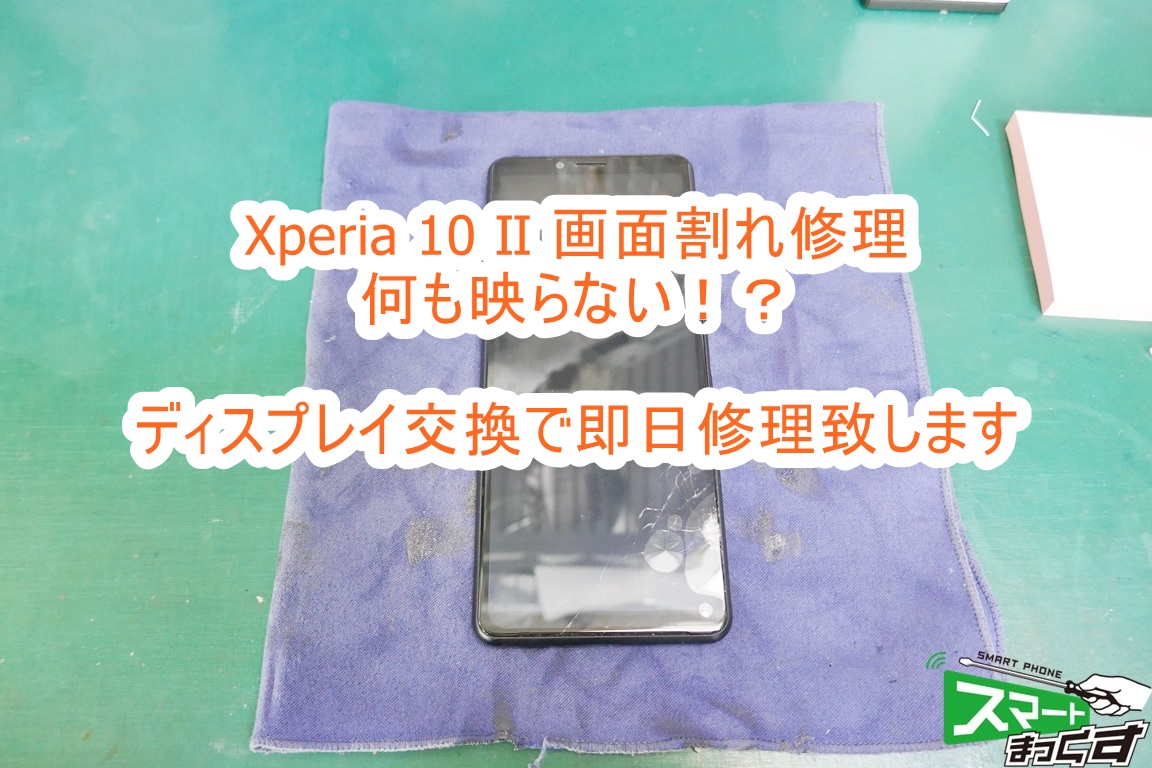 feelP1040372.jpg