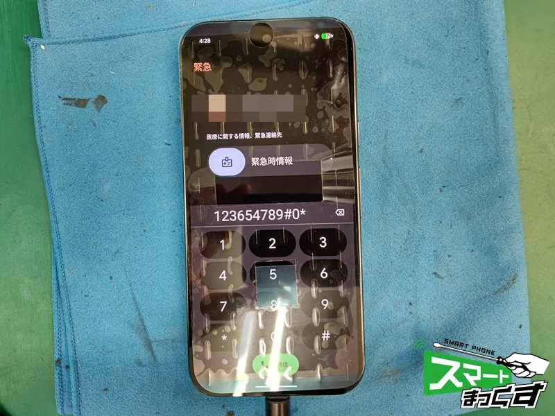 Pixel 9 Pro 仮組みによる起動と動作確認