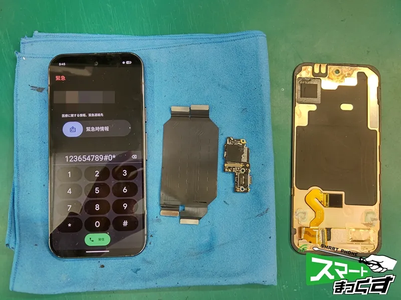 Pixel 9 Pro 水没復旧完了