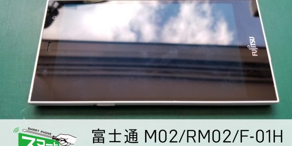 M02,RM02,F-01H-01